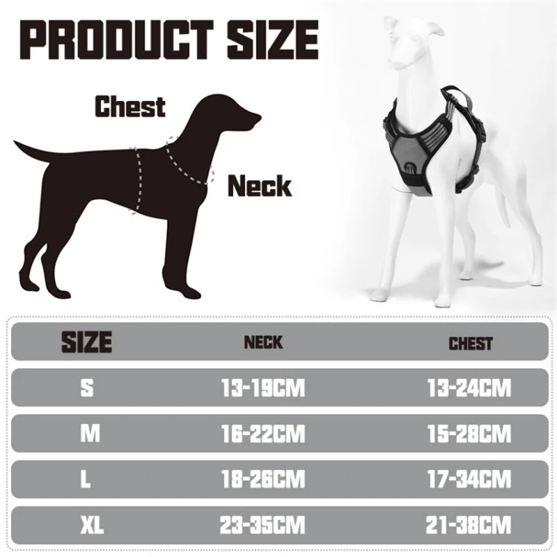 product-800-800