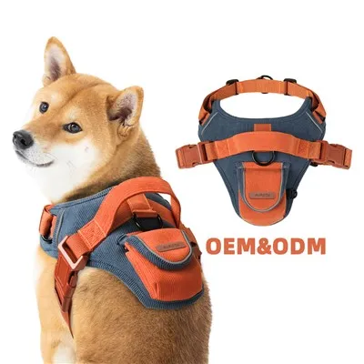 Кадифена колан за кучета